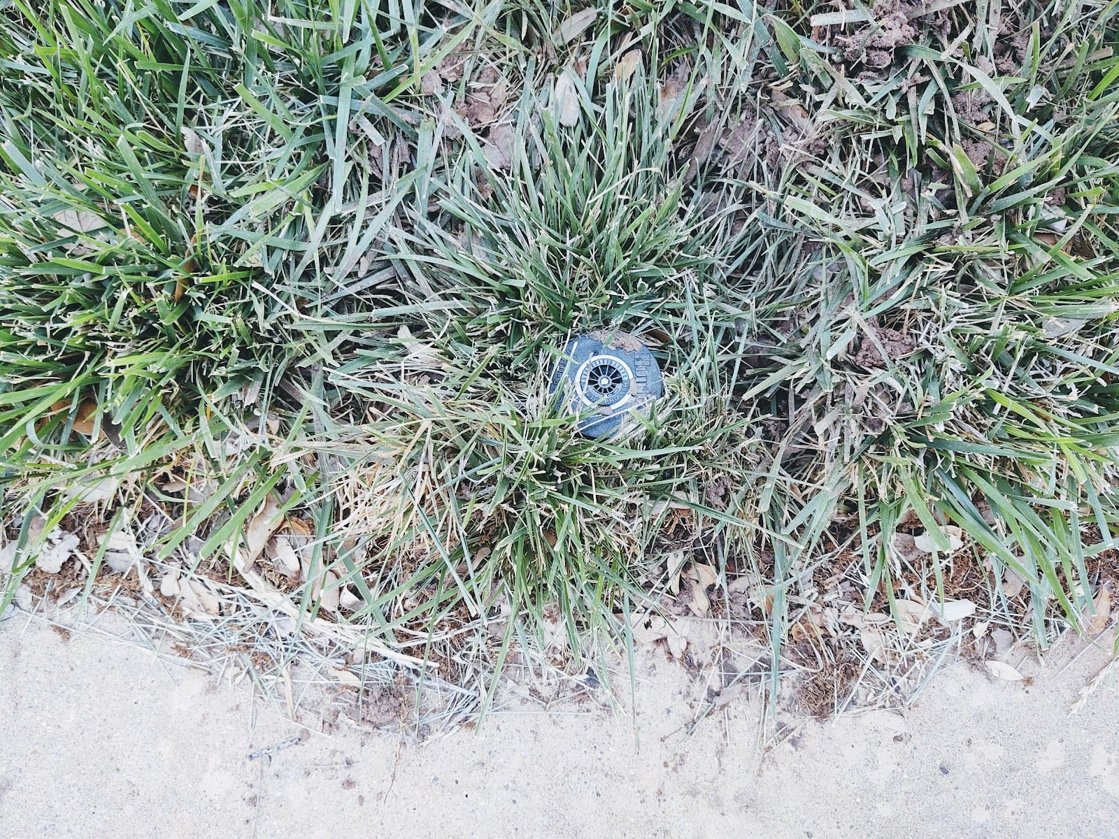 M&M Sprinklers & Trees, photo 4