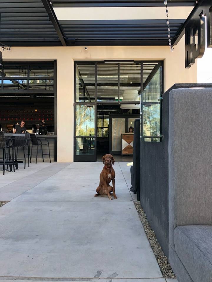 Pitch Scottsdale - Restaurant and Pizzeria