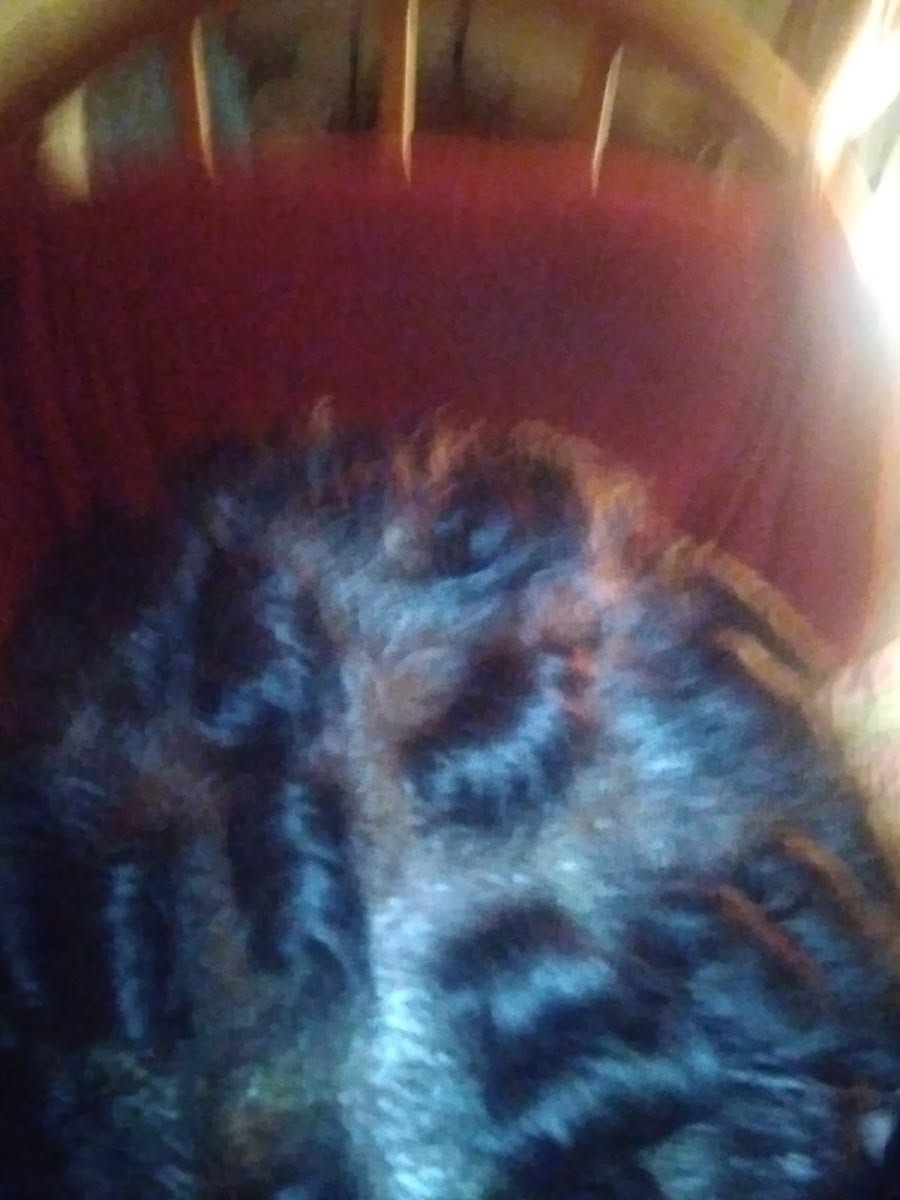B Beautiful Salon