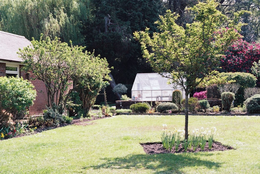 Cantu Nursery & Landscape