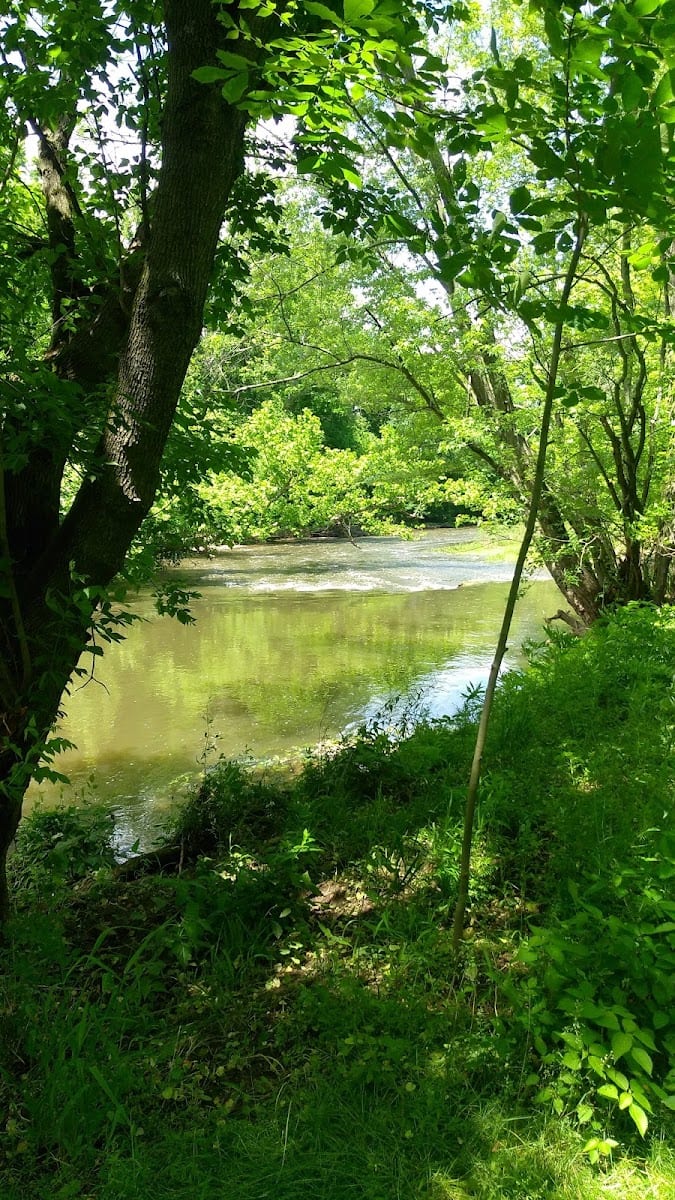 Dark Hollow, photo 2