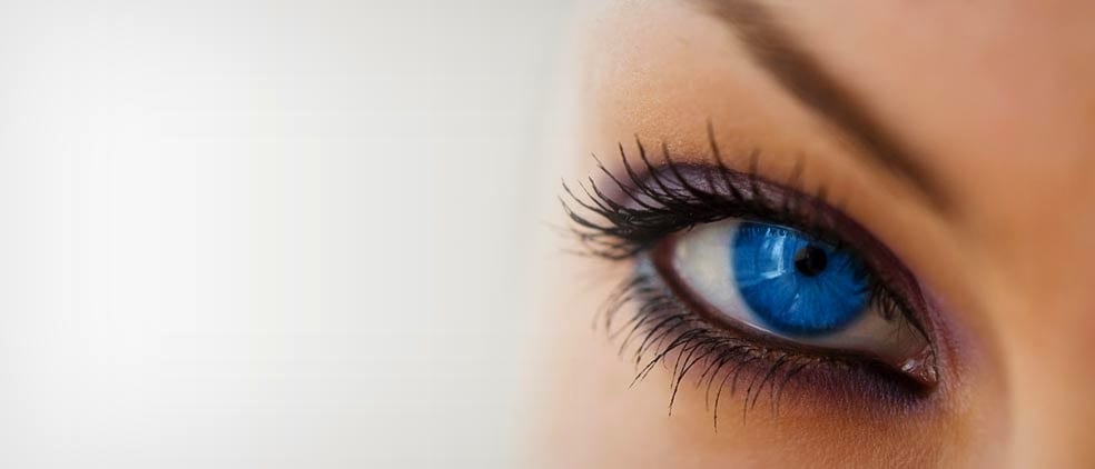 Best Toronto Lashes, photo 3