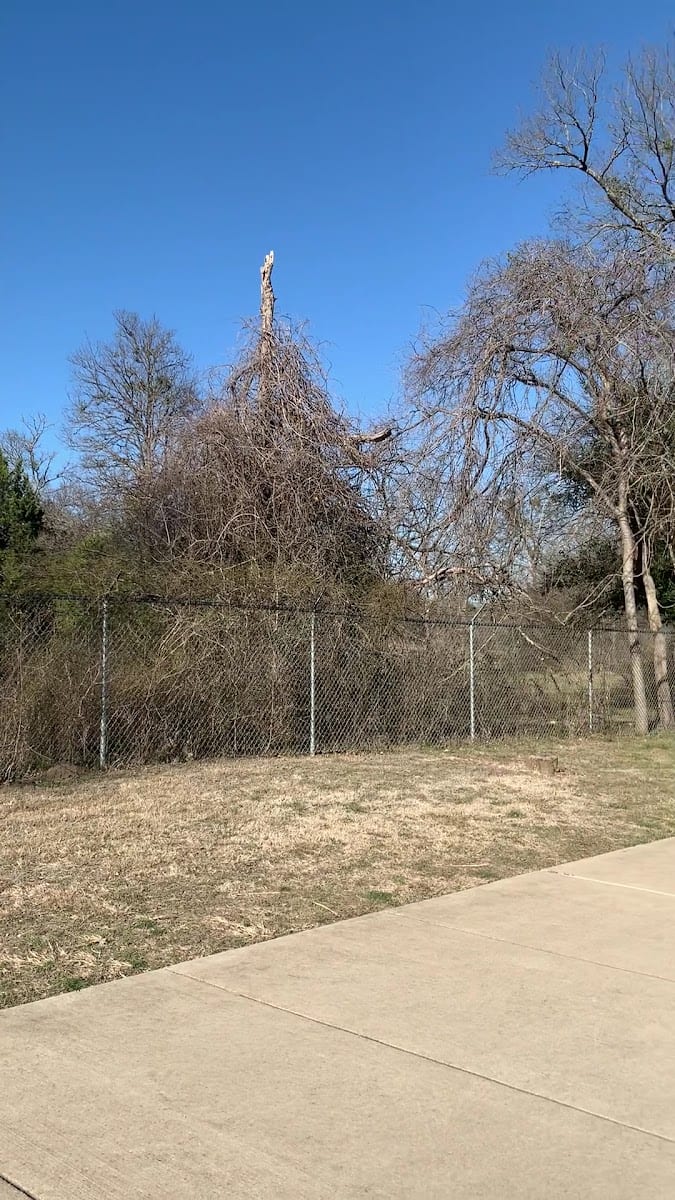 Brushy Creek Trail East, photo 2