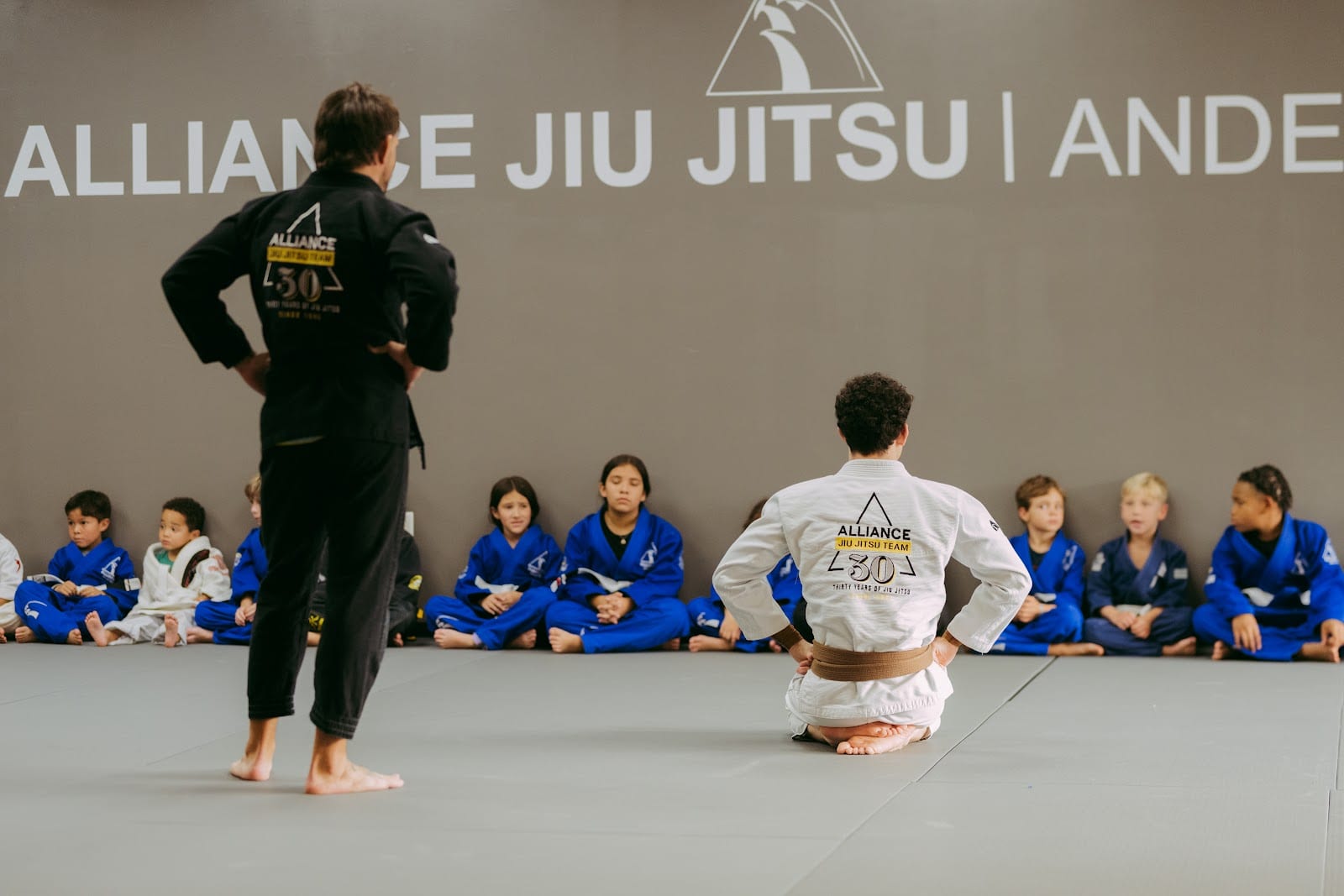 Alliance Jiu Jitsu Anderson, photo 2