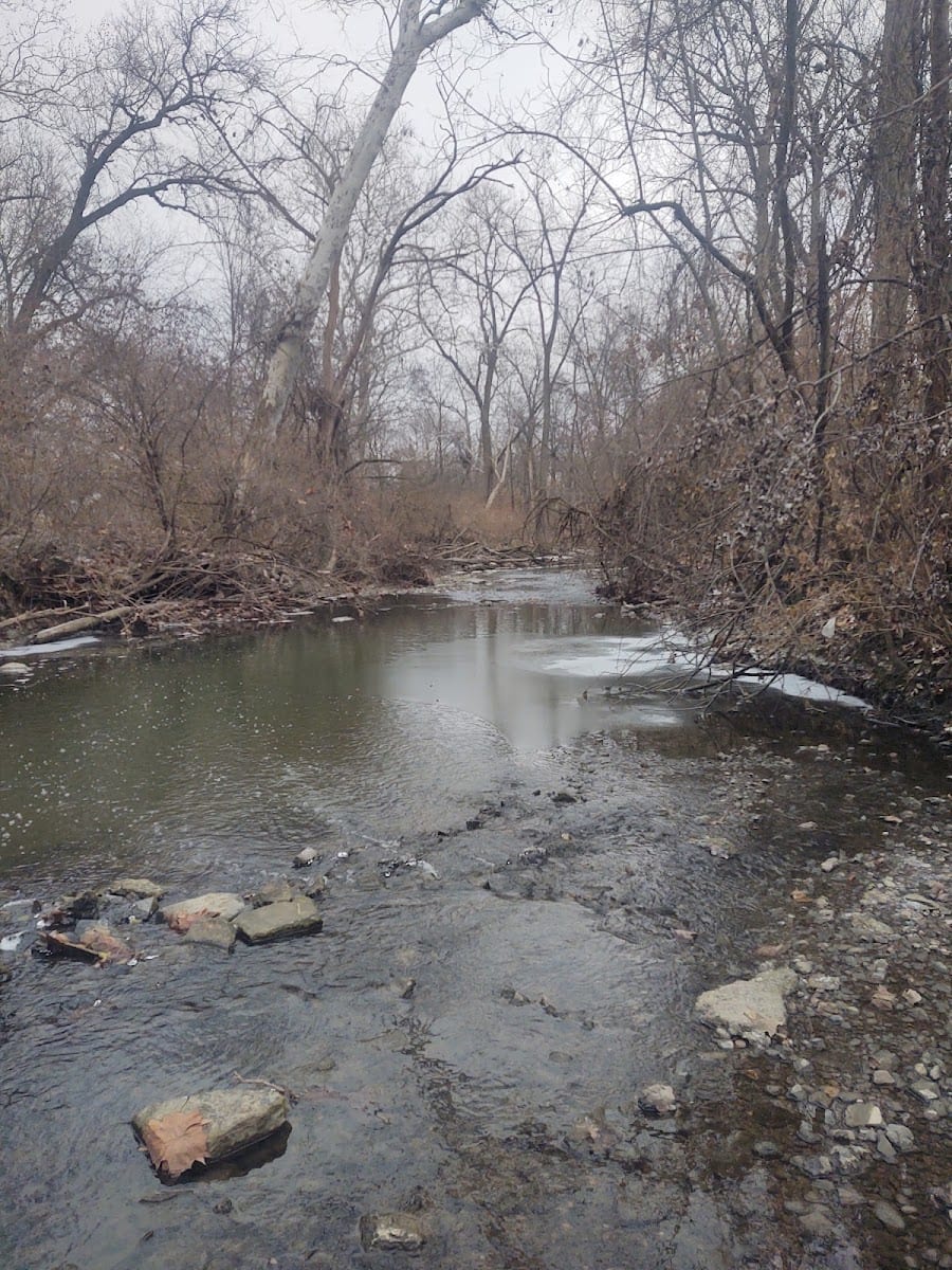 Vesey park, photo 2