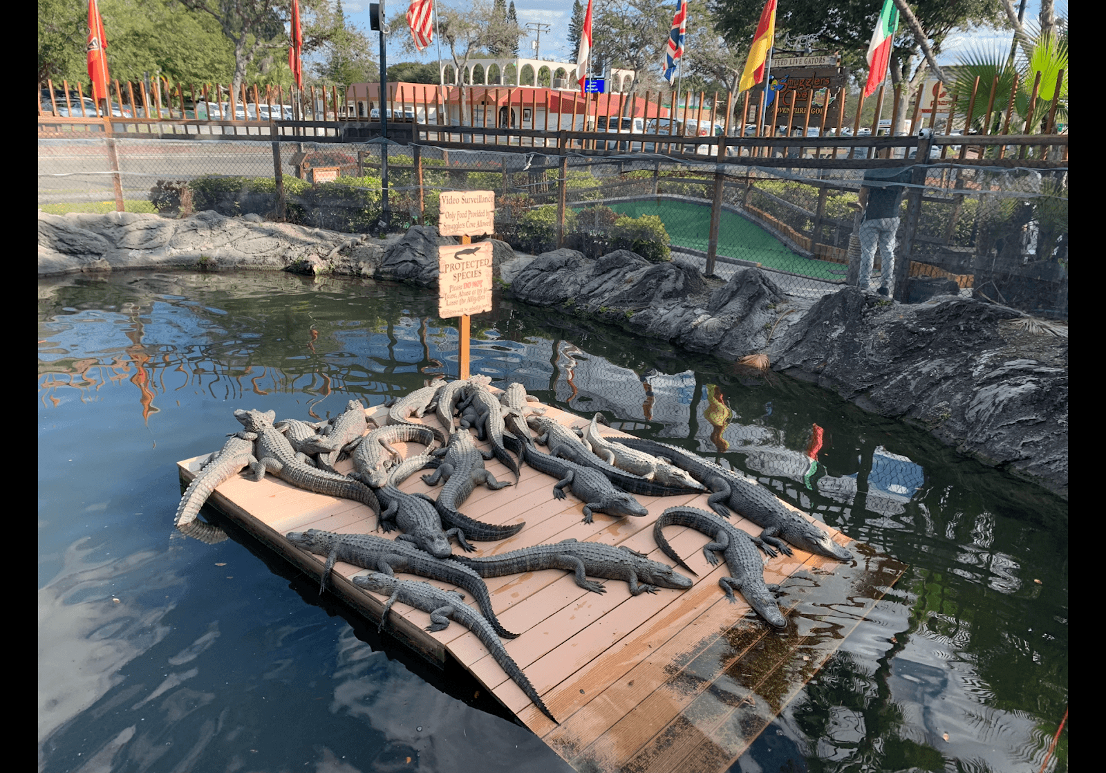 Smugglers Cove Adventure Golf, photo 2