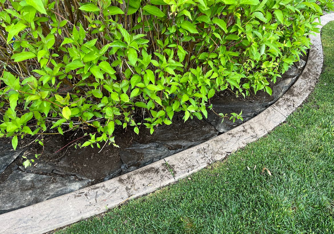 Arreira Lawn Services