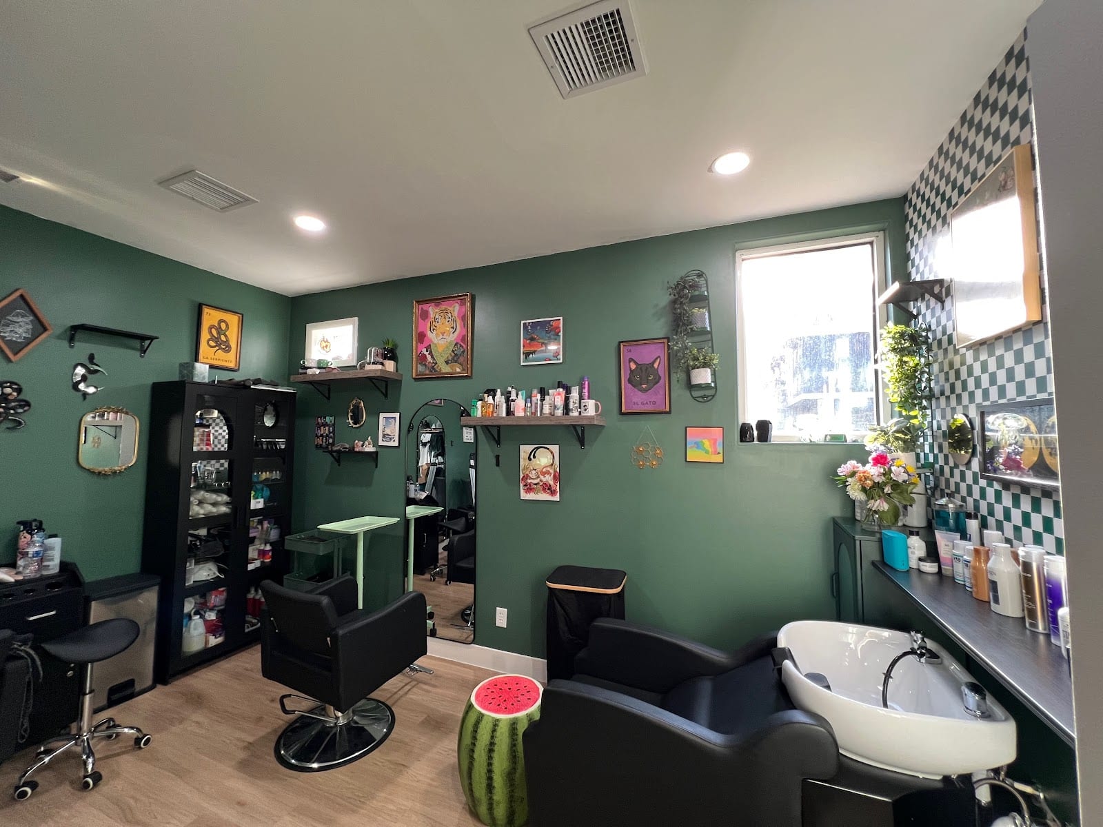 Vibrance Vibes Salon