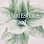 Elysian Esthetics And Day Spa