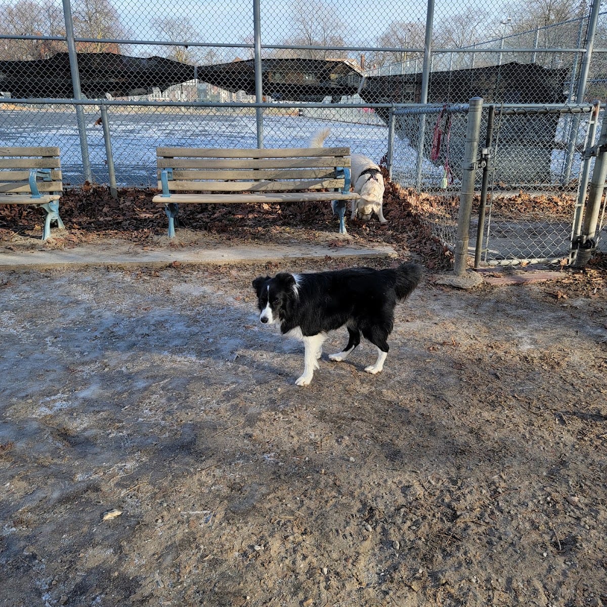 Norwood Dog Park, photo 3