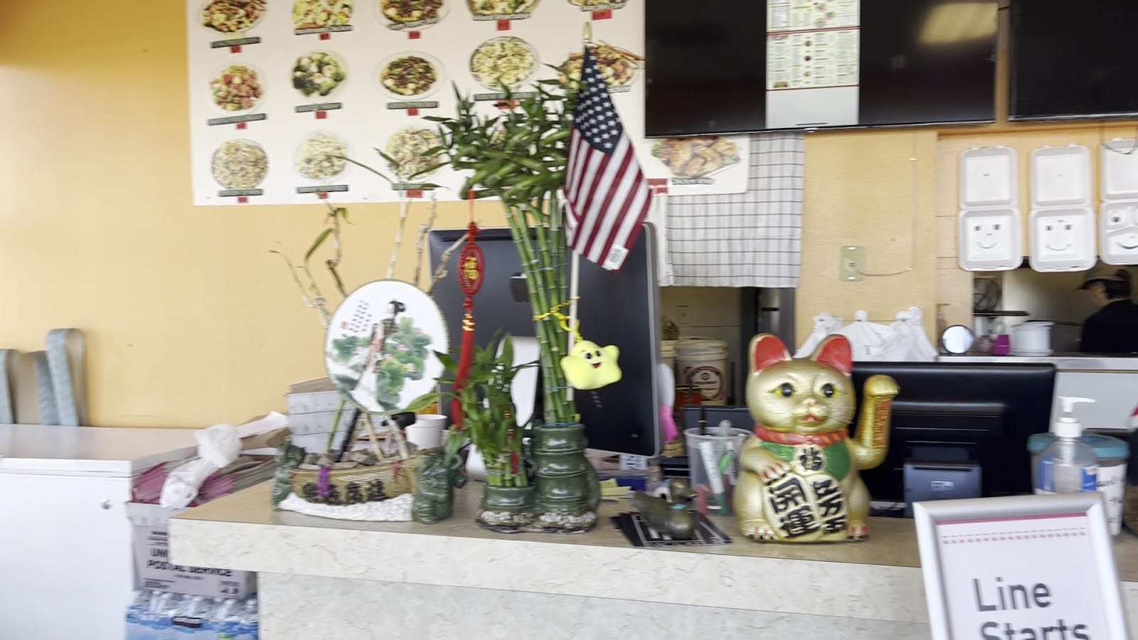 Gourmet Wok Chinese Food, photo 3