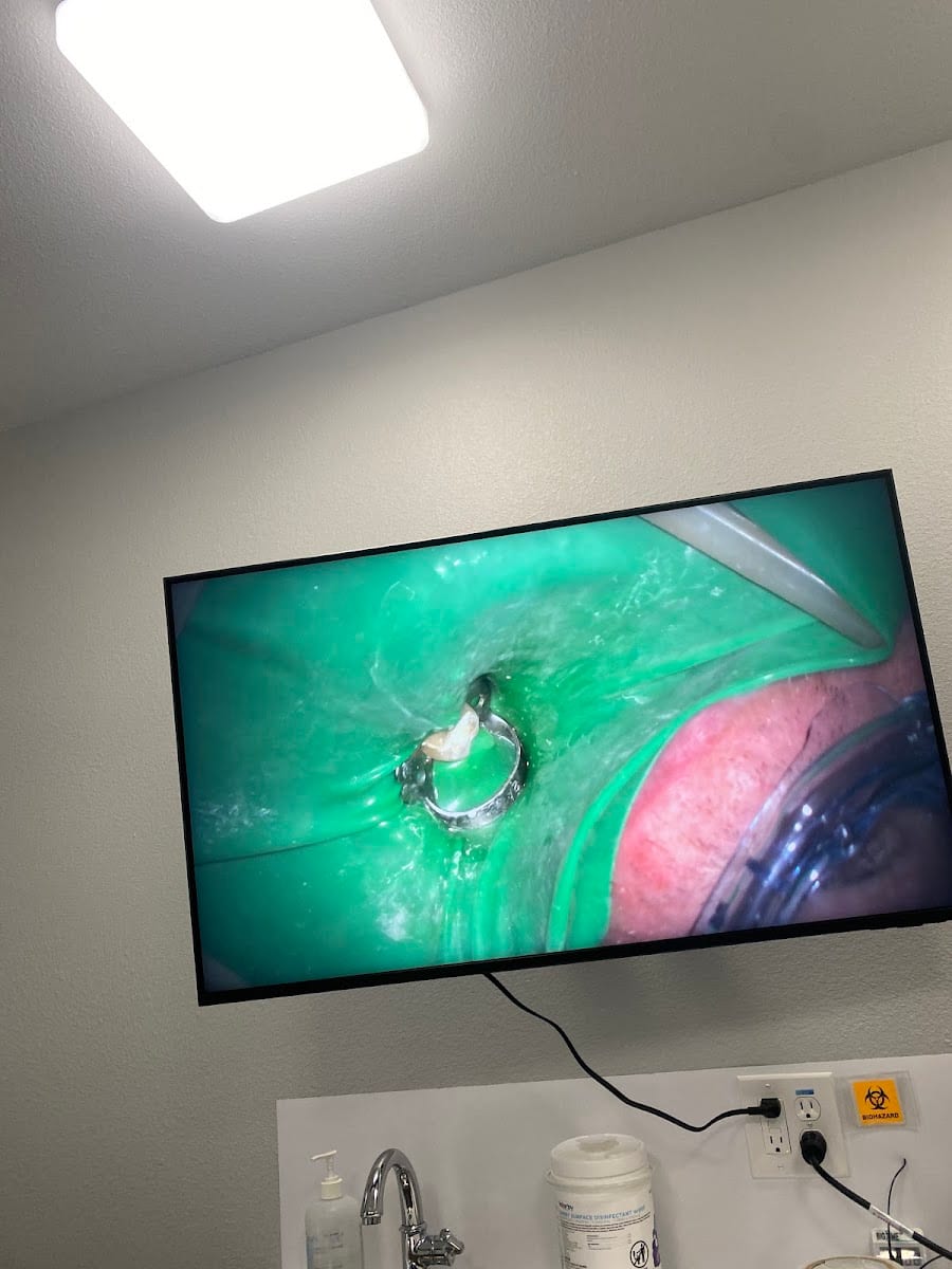 Southeast Texas Endodontics