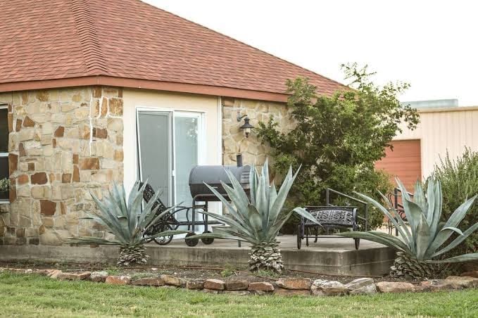 Rockin’ Star Ranch, photo 4