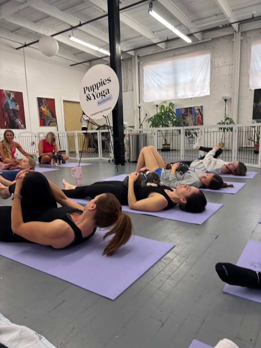 Puppy Yoga Rochester (Puppies Yoga)
