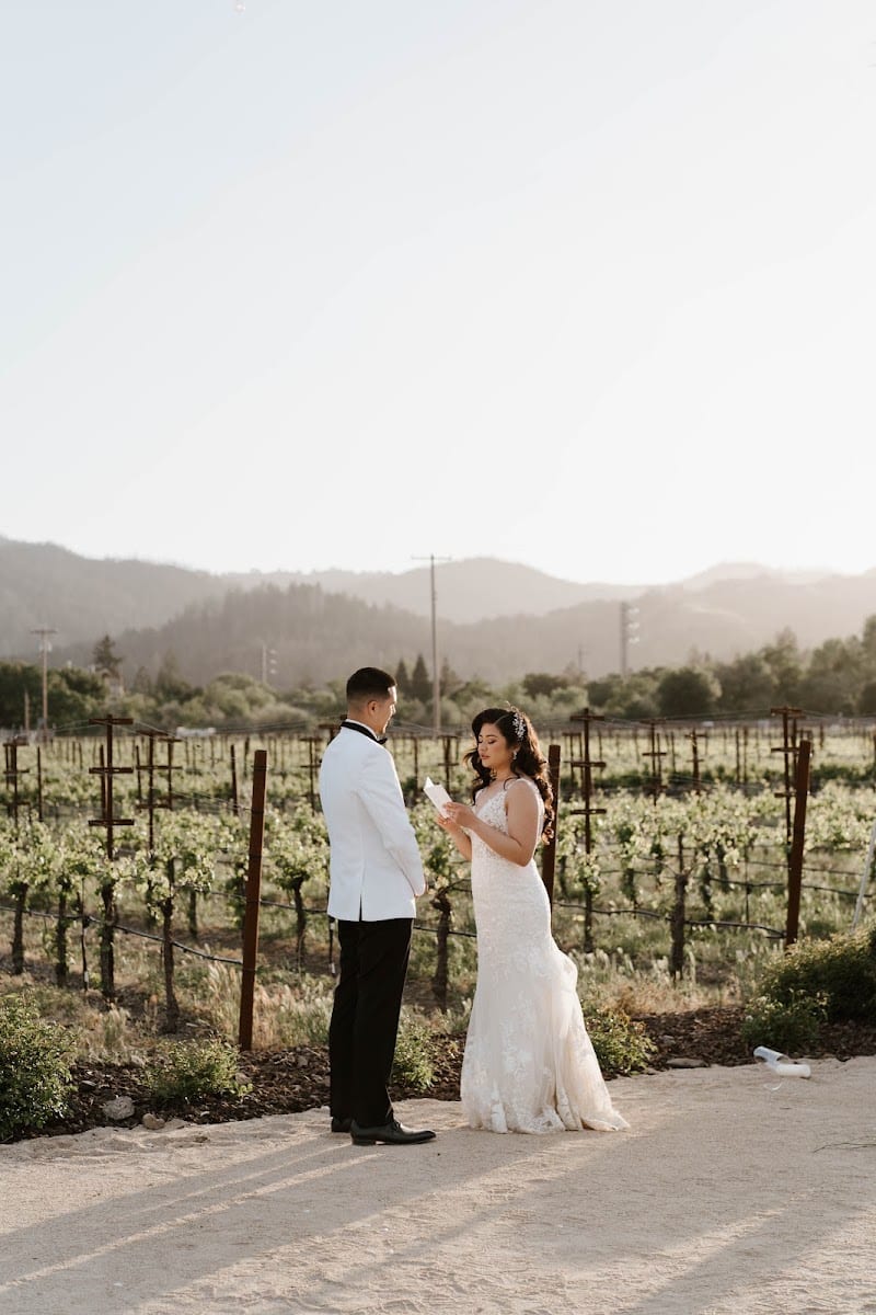 Brindare Napa Valley, photo 4