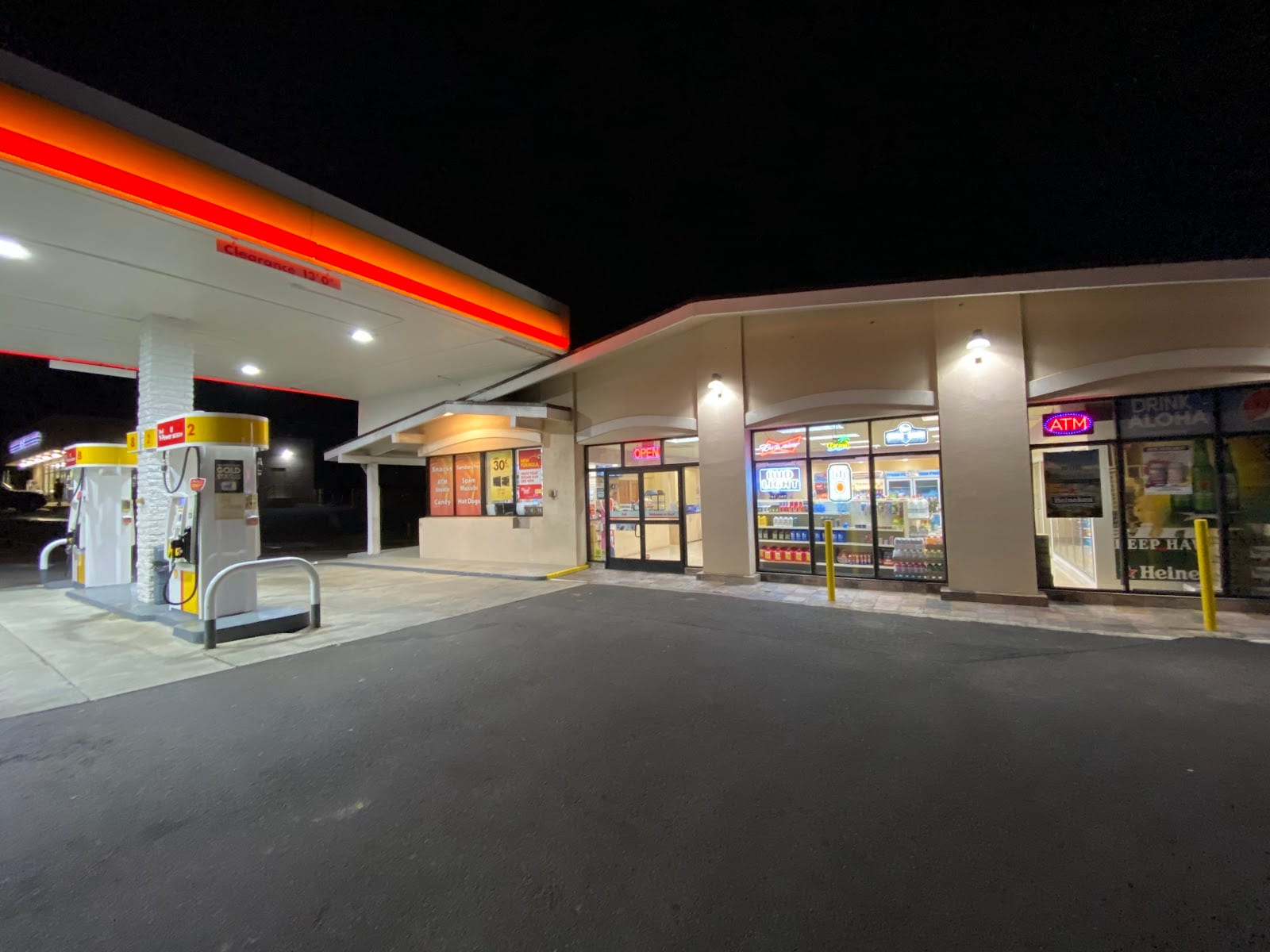 Shell, photo 3