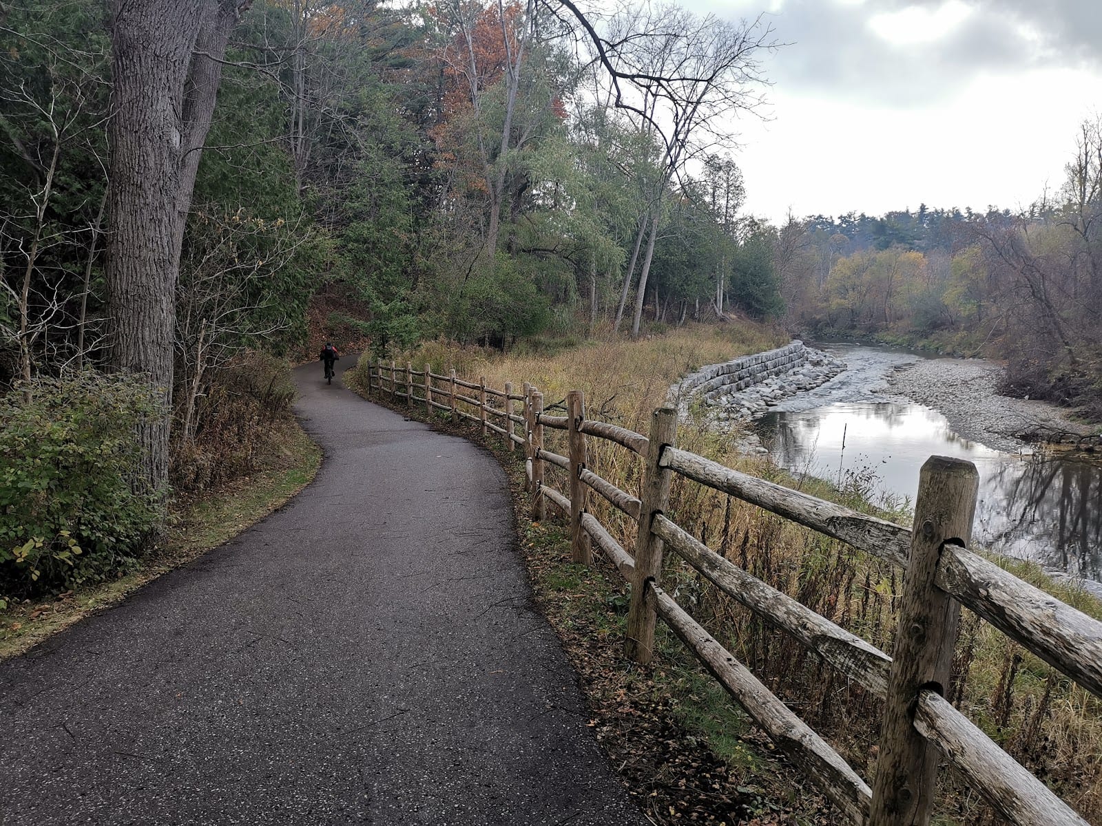 Old Kingston Rd Parkette & Dog Park, photo 3
