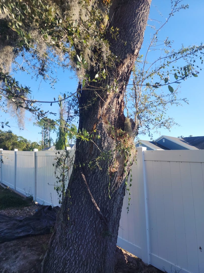 Aces Tree Service, photo 2
