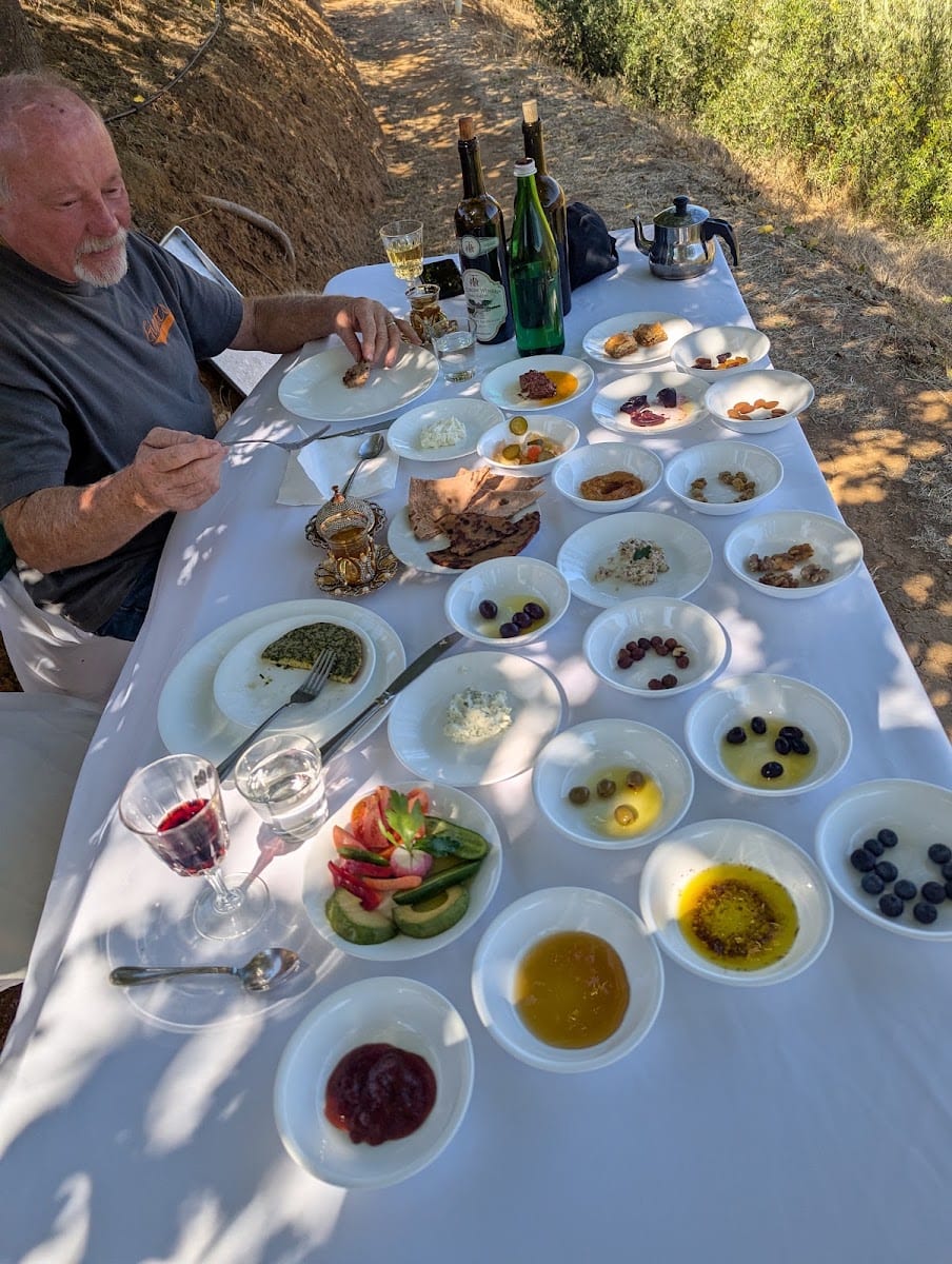 M.S Torun Winery and Ranch, photo 3