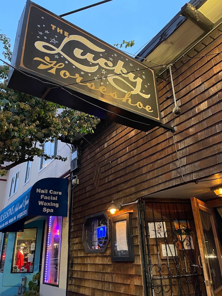 The Lucky Horseshoe