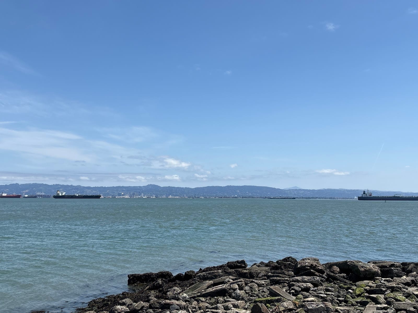 Heron's Head Park - Nature Exploration Area