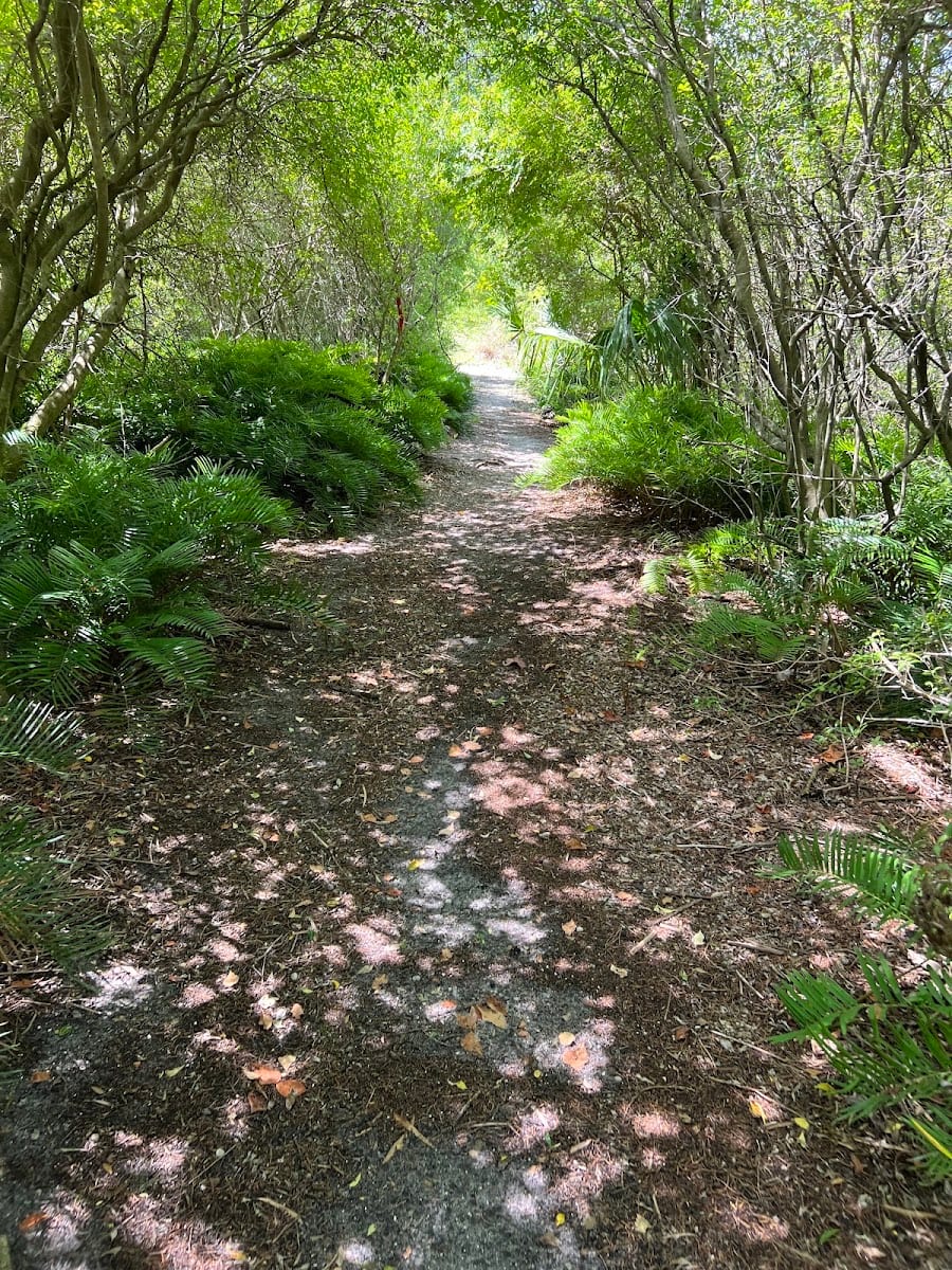 Diamondback Nature Preserve