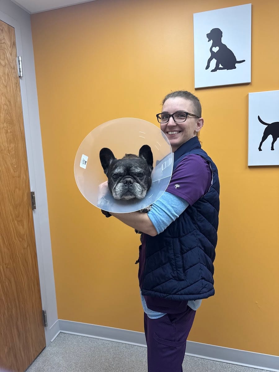 Salty Paws Veterinary Urgent Care, photo 4