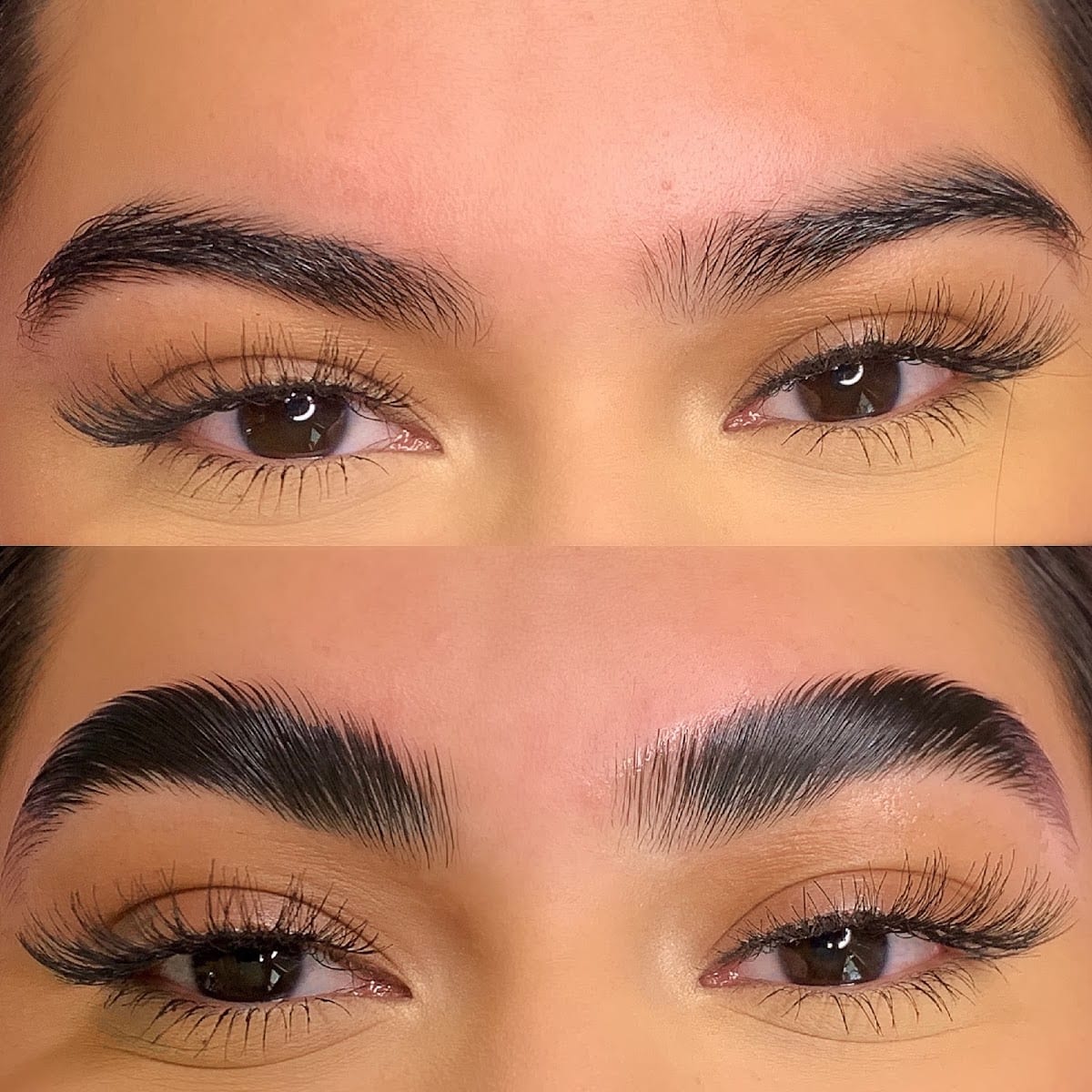 Marcy lash studio