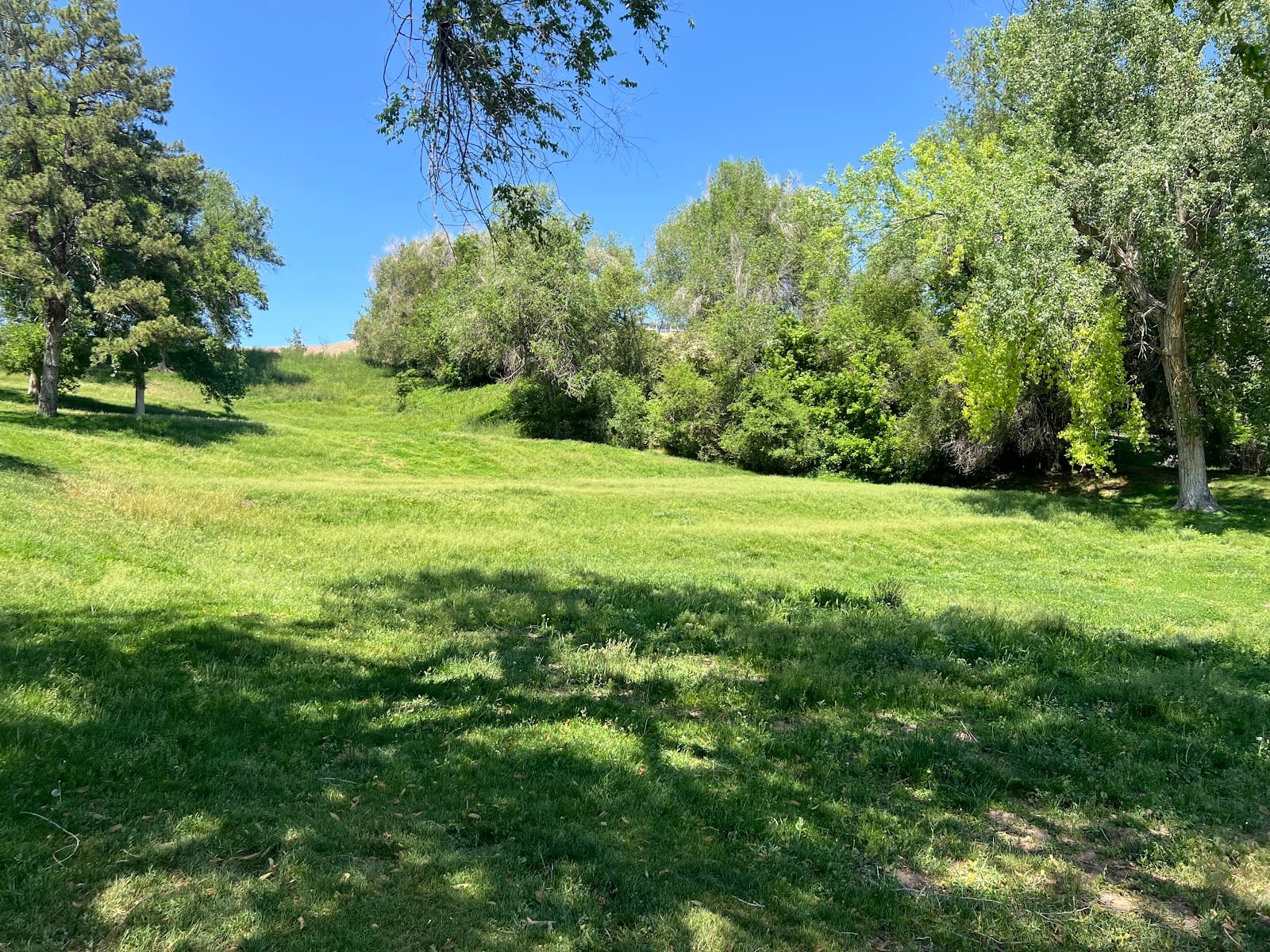 Lindsey Gardens Dog Park, photo 4