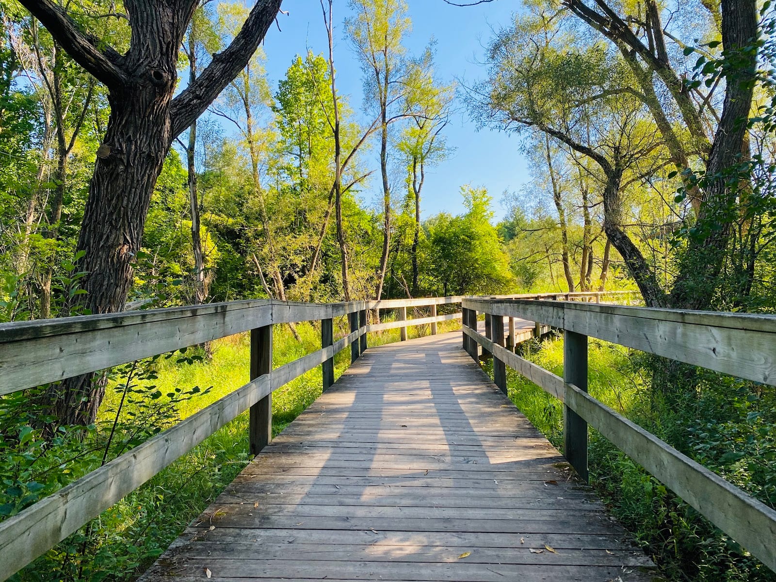 Saigeon Trail