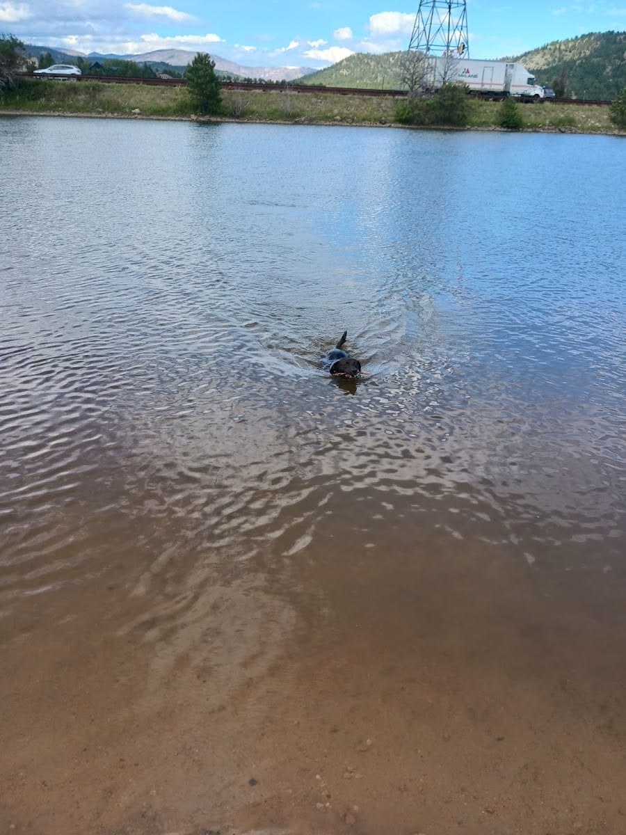 Estes Park Dog Park