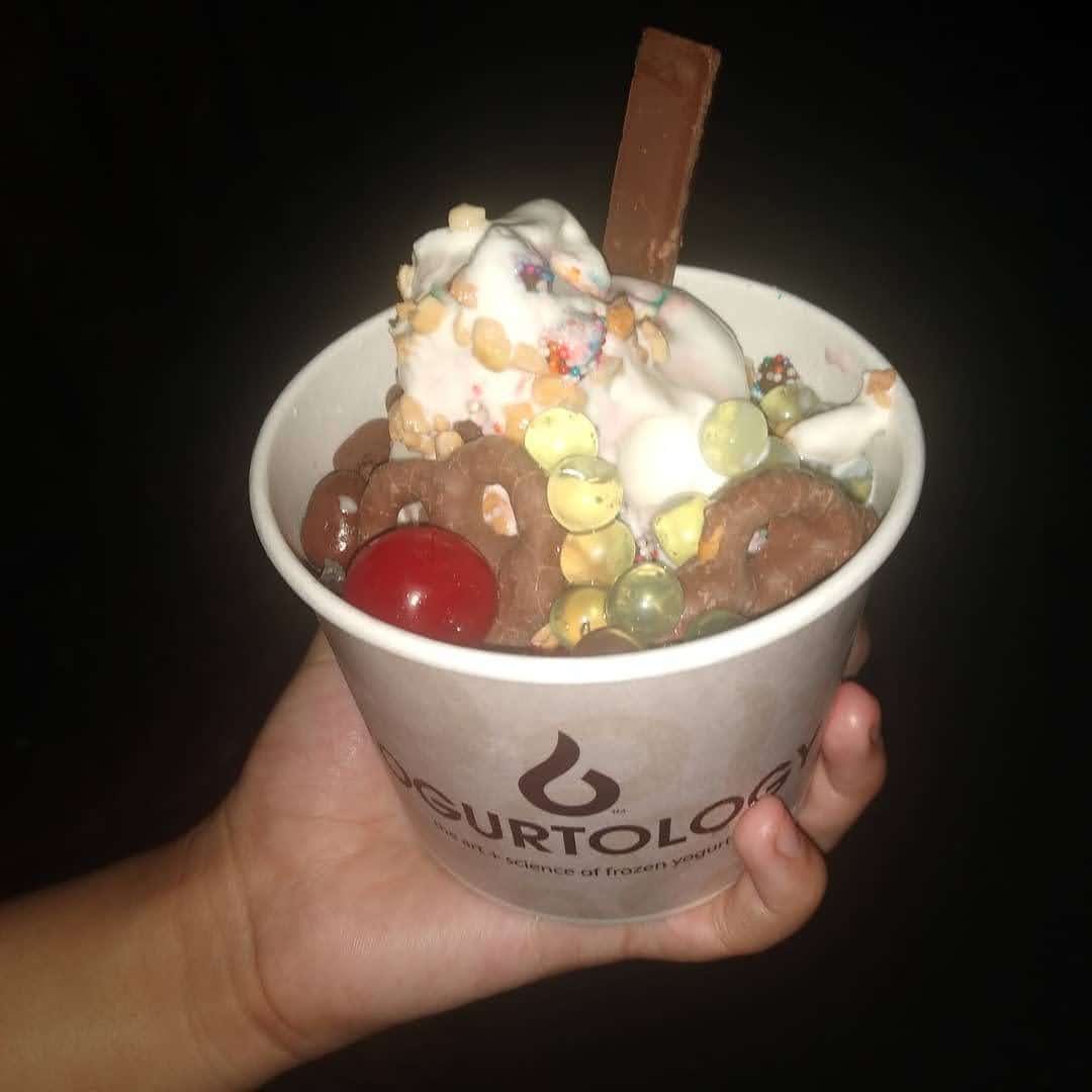 Yogurtology, photo 3