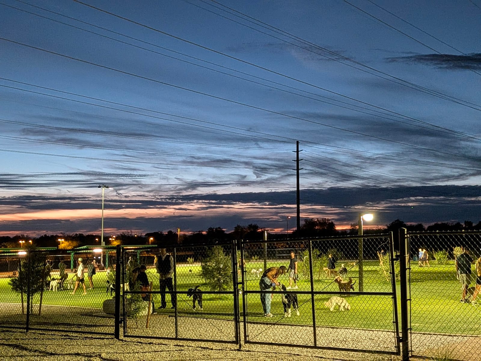 Thompson Peak Park Dog Park