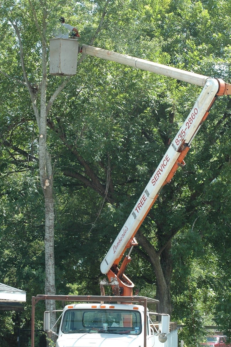 Lombardo's Bonded Tree Service, LLC, photo 4