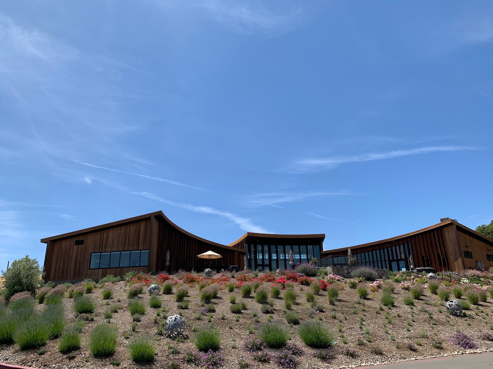 Bouchaine Vineyards