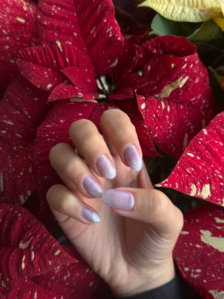 Voila Nail Spa, photo 3