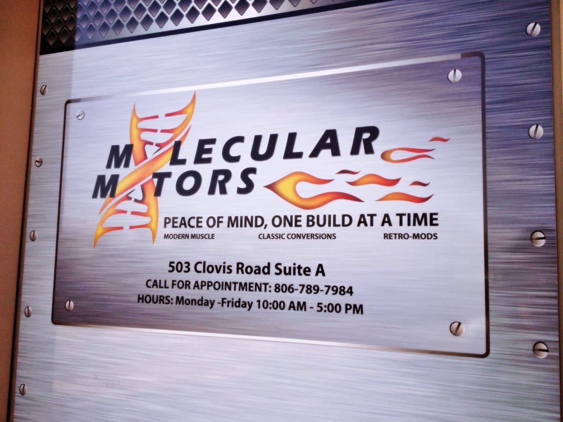 Molecular Motors