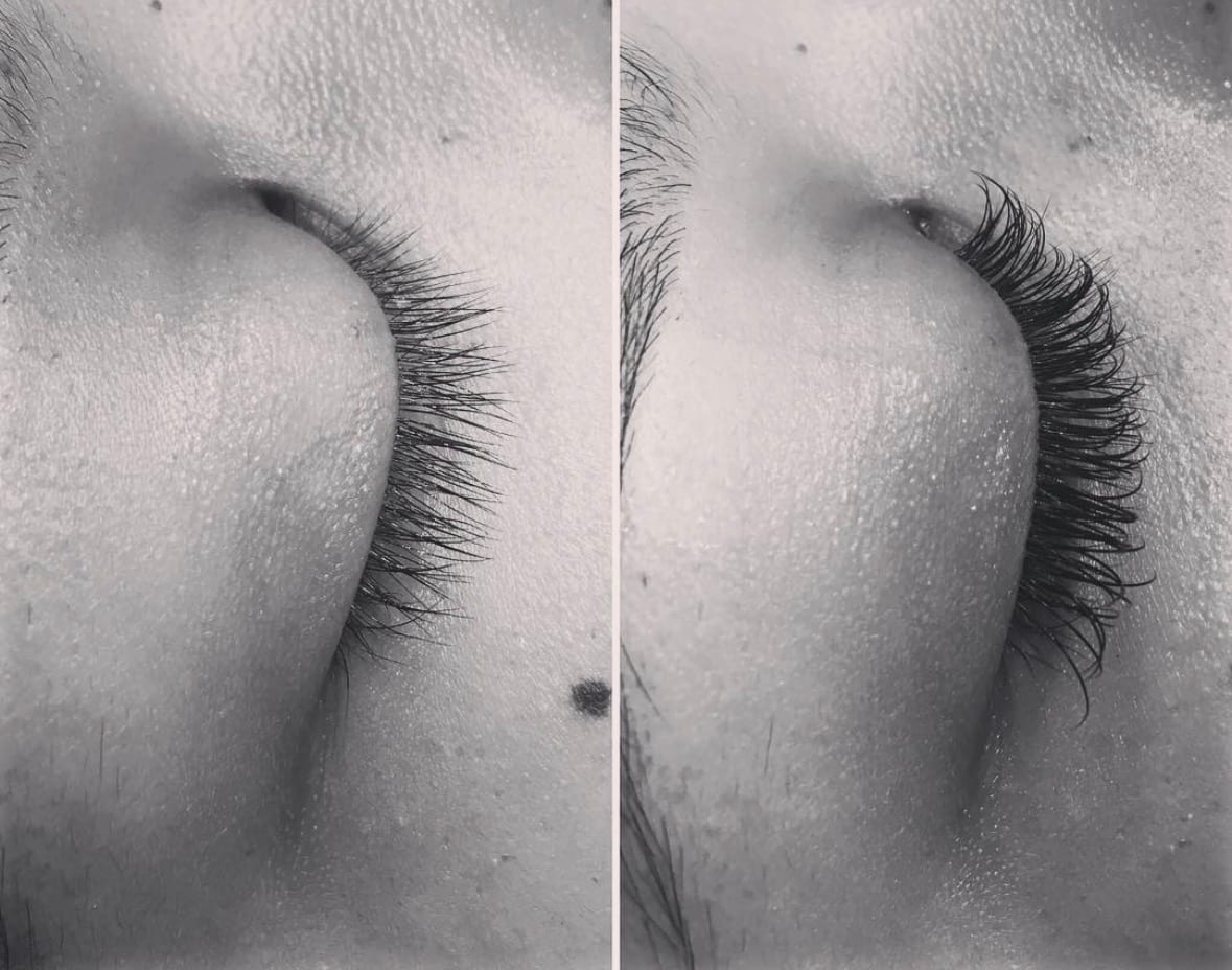 giraffe lashes