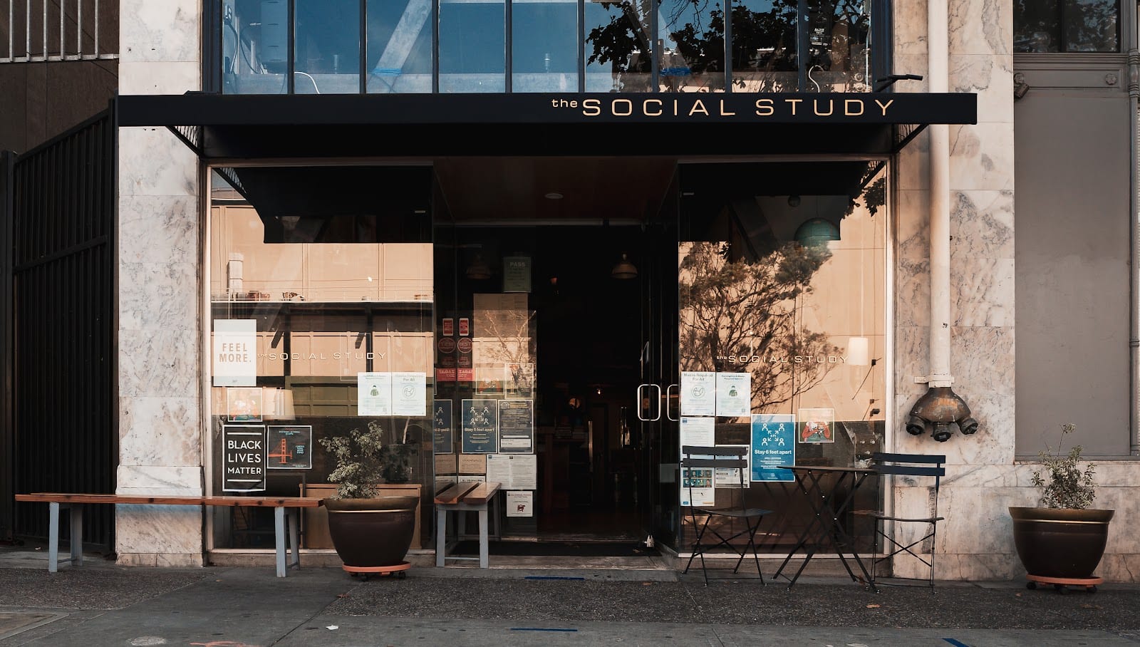 The Social Study, photo 2