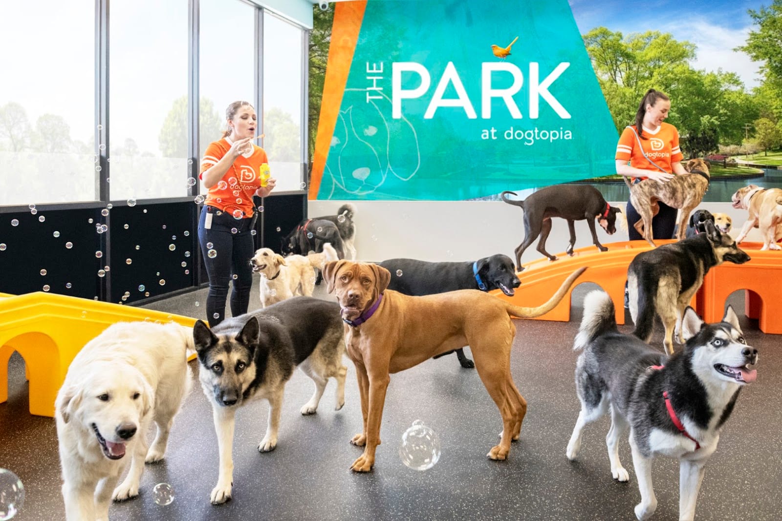 Dogtopia of Huntsville - Madison