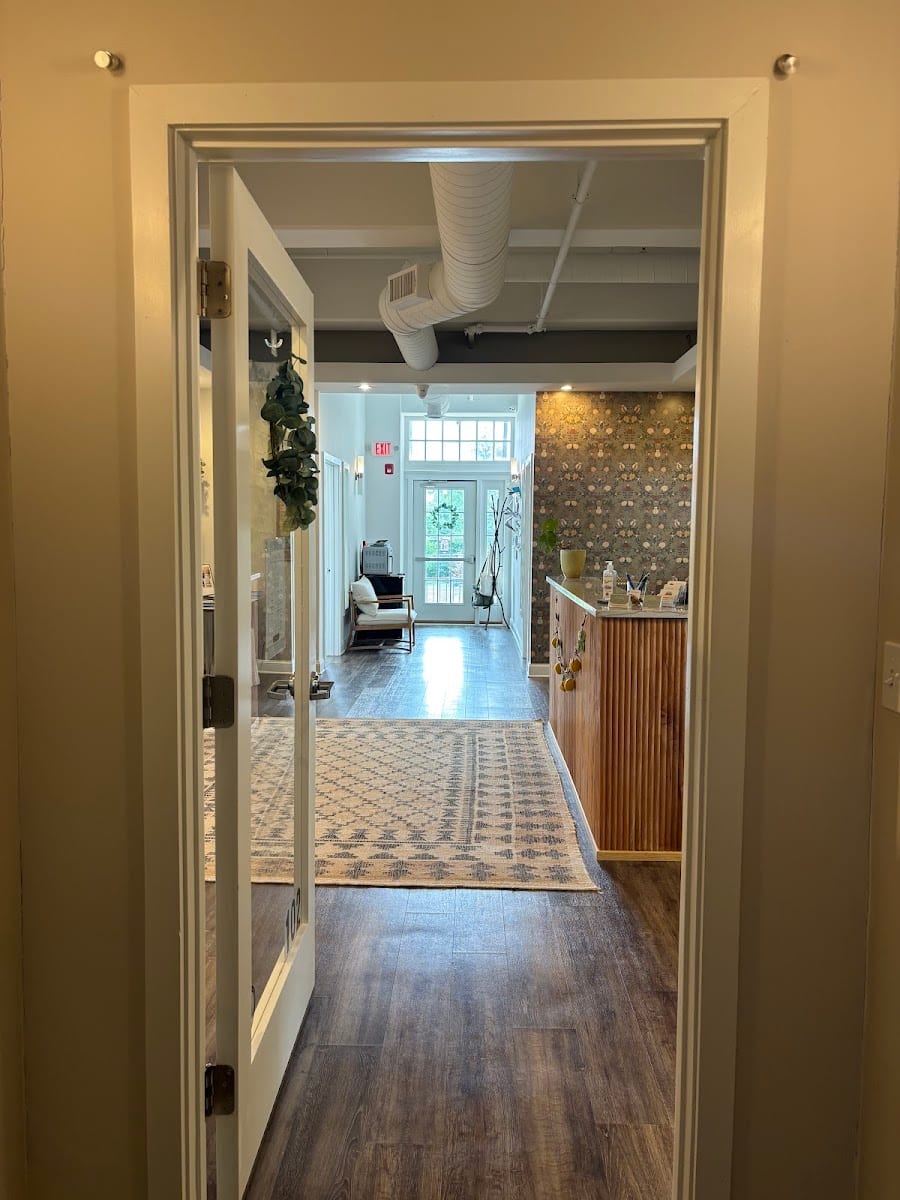 Willow Wellness and Chiropractic Care of Doylestown, photo 3