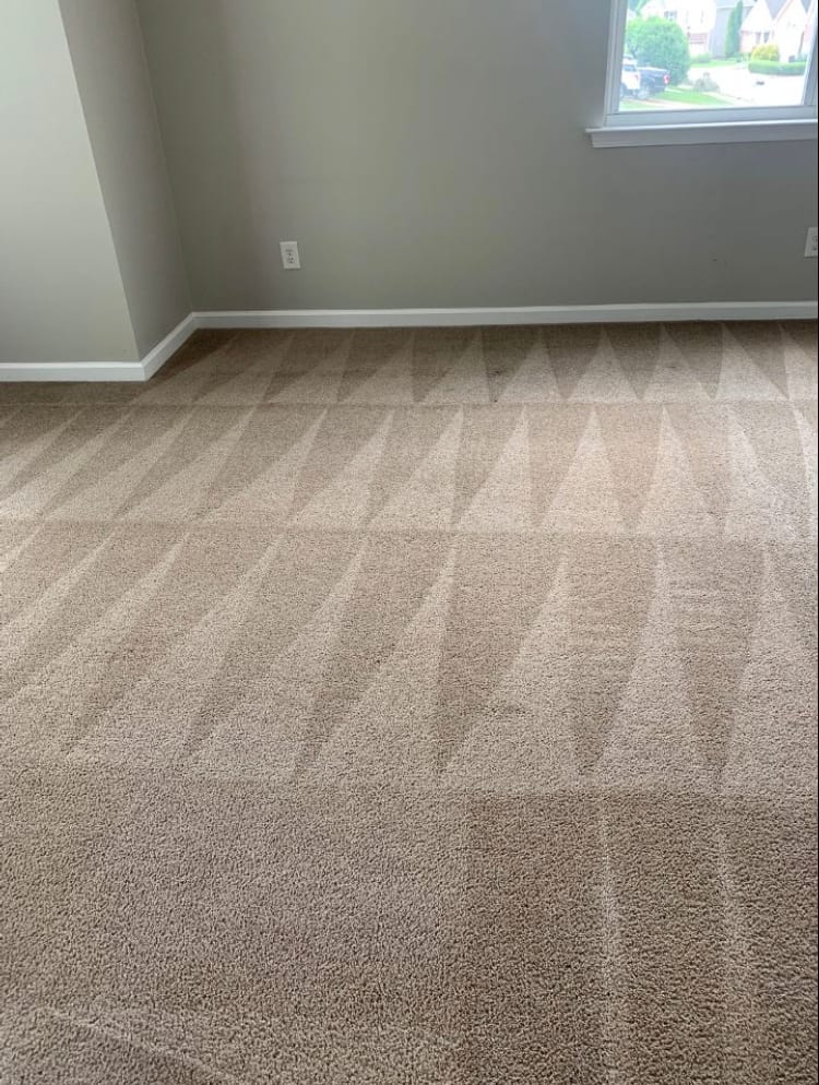 LocalPro Carpet Cleaning of Madison