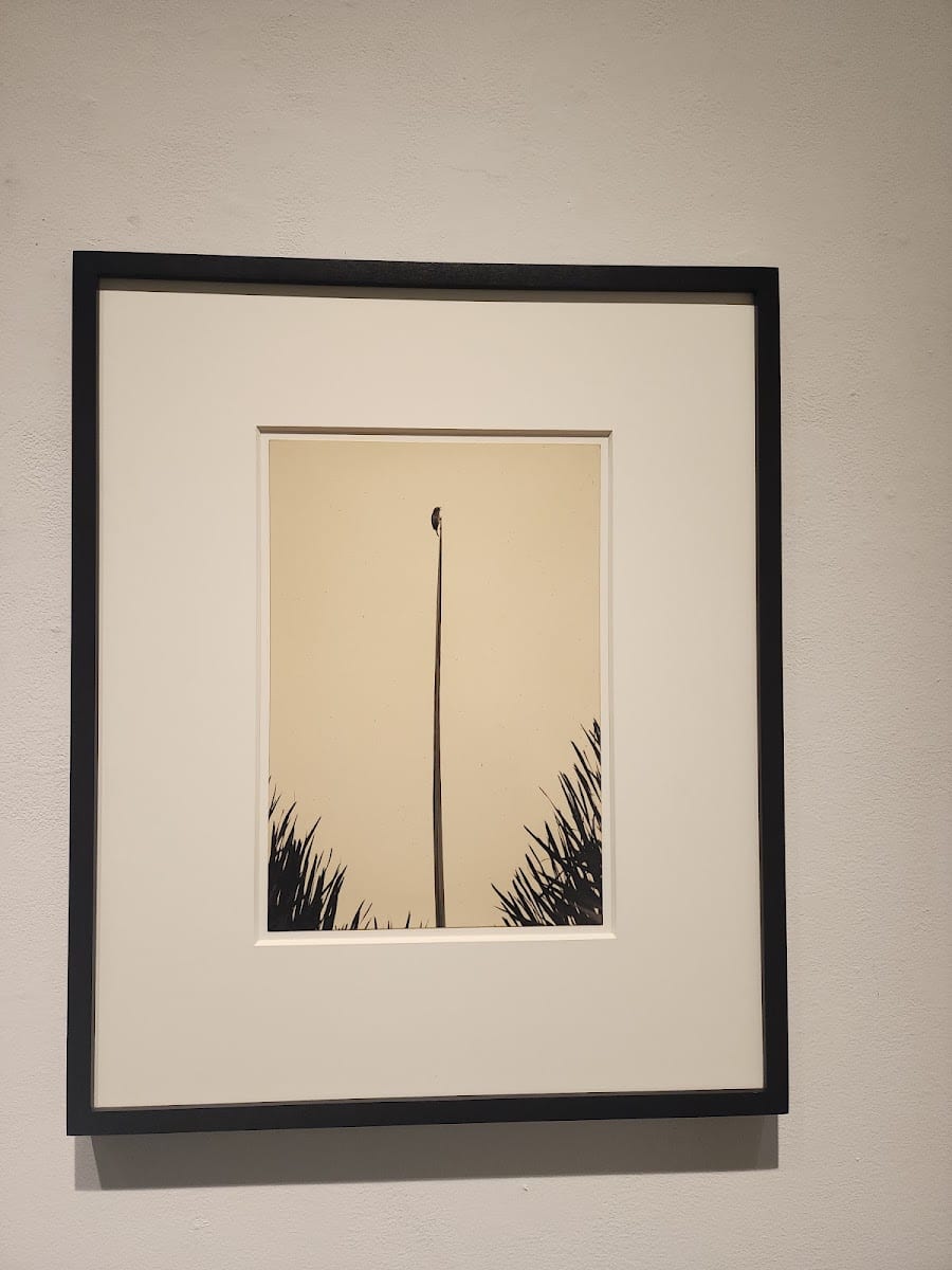 Fraenkel Gallery, photo 4