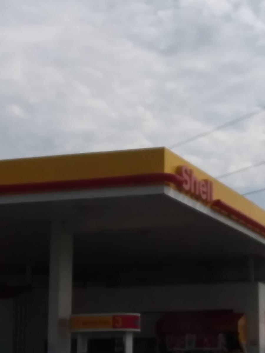 Shell, photo 3