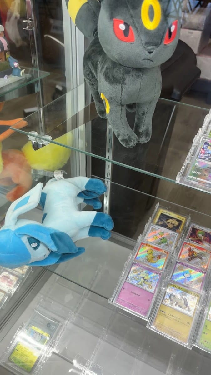 Poke-Collect, photo 3