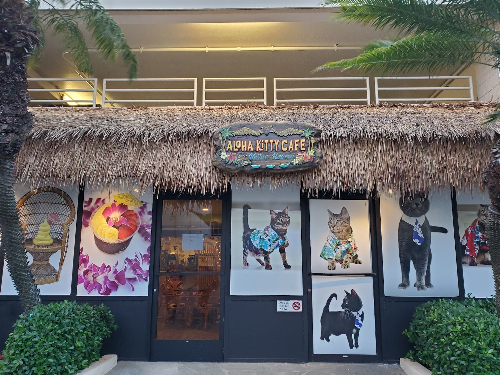 Aloha Kitty Cafe