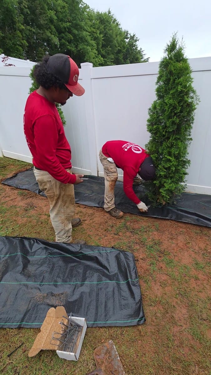 Beltran's Lawn Care, LLC, photo 3