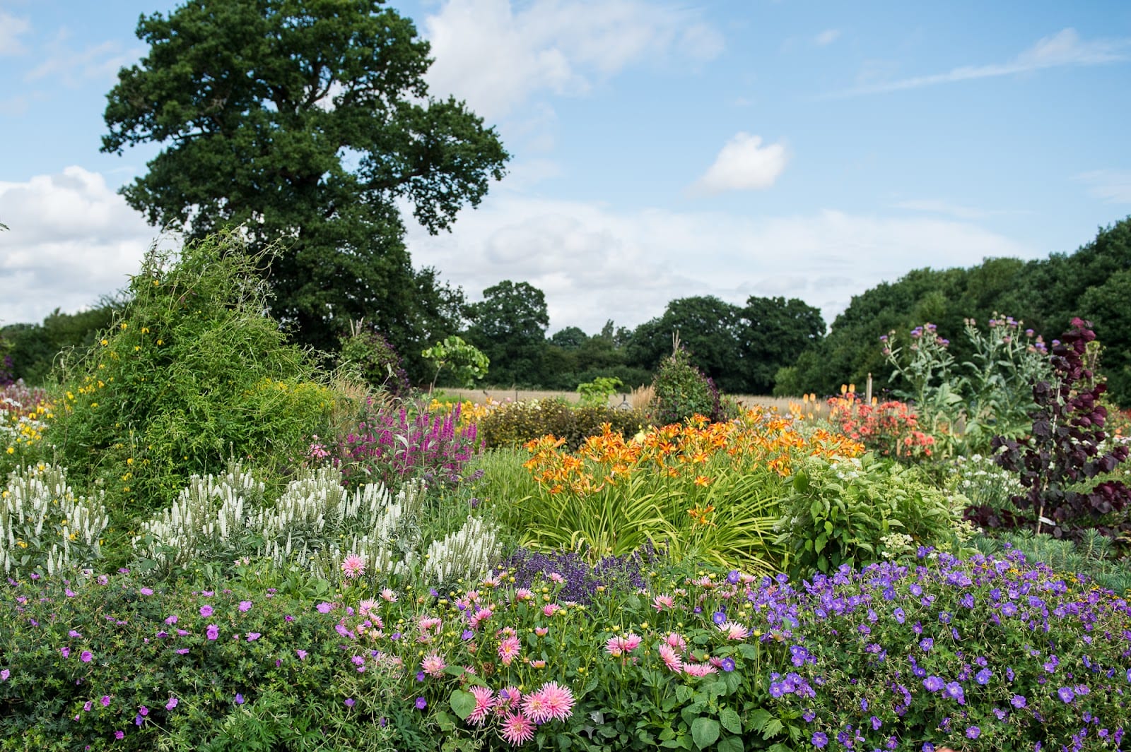 Aylett Nurseries