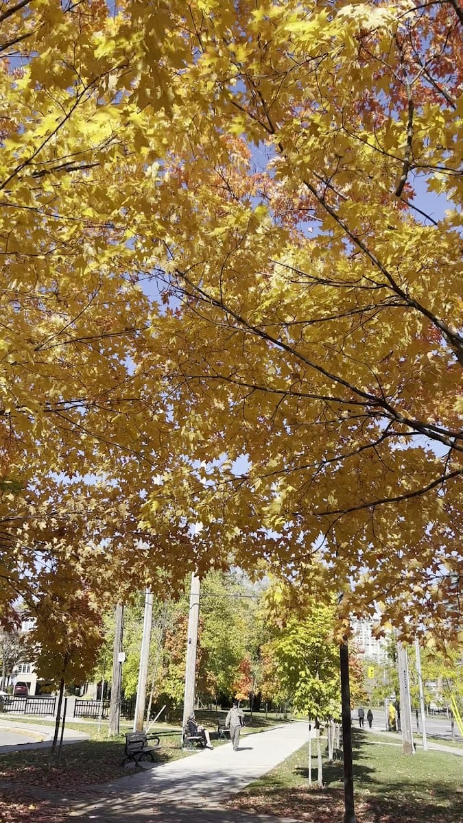 Dempsey Park, photo 2
