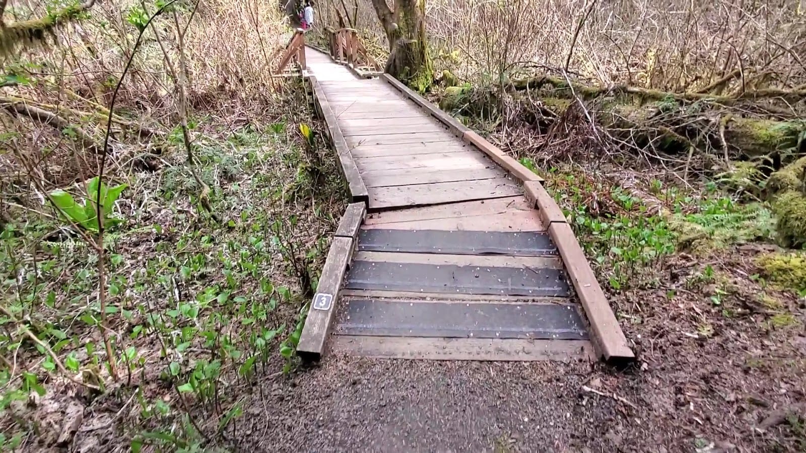 Watershed Park, photo 3